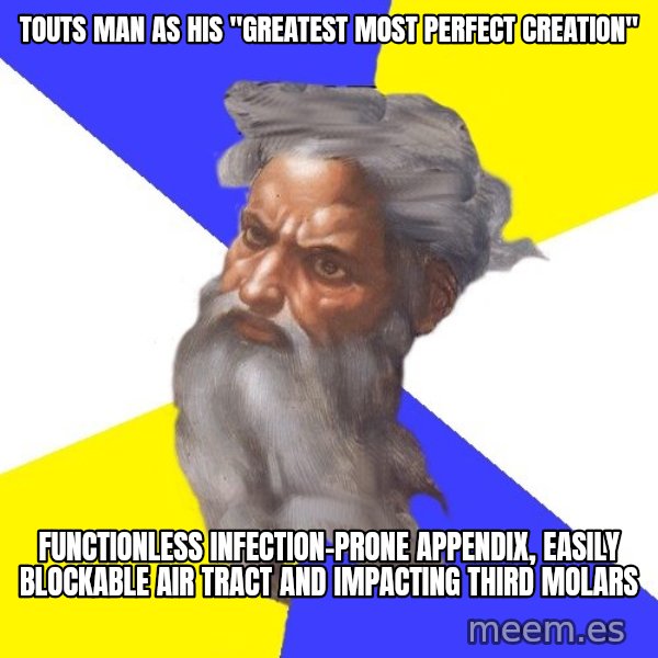 Advice God meme: TOUTS MAN AS HIS "GREATEST MOST PERFECT CREATION" / FUNCTIONLESS INFECTION-PRONE APPENDIX, EASILY BLOCKABLE AIR TRACT AND IMPACTING THIRD MOLARS