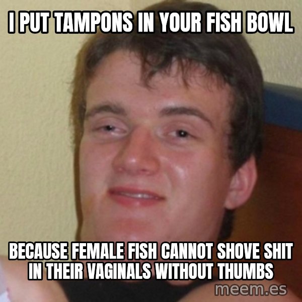 Really Stoned Guy meme: I PUT TAMPONS IN YOUR FISH BOWL / BECAUSE FEMALE FISH CANNOT SHOVE SHIT IN THEIR VAGINALS WITHOUT THUMBS