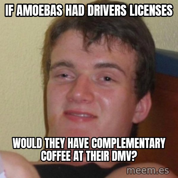 Really Stoned Guy meme: IF AMOEBAS HAD DRIVERS LICENSES / WOULD THEY HAVE COMPLEMENTARY COFFEE AT THEIR DMV?