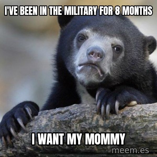 Confession Bear meme: I'VE BEEN IN THE MILITARY FOR 8 MONTHS / I want mY MOMMY