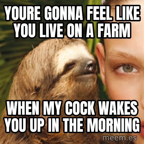 The Rape Sloth meme: Youre gonna feel like you live on a farm / when my cock wakes you up in the morning