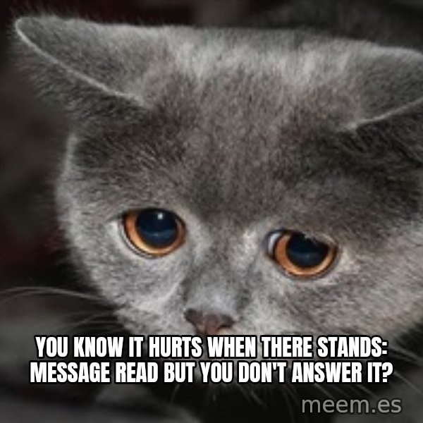Sadcat meme: You know it hurts when there stands: message read but you don't answer it?