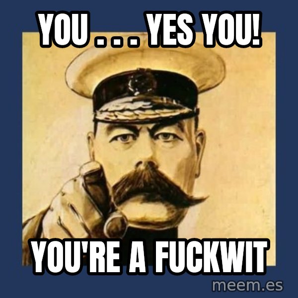 your country needs you meme: YOU . . . YES YOU! / YOU'RE A FUCKWIT