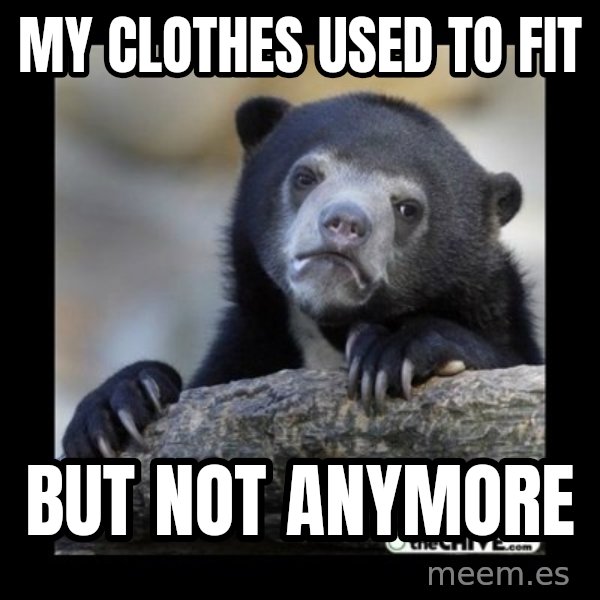 sad bear meme: my clothes used to fit / but not anymore