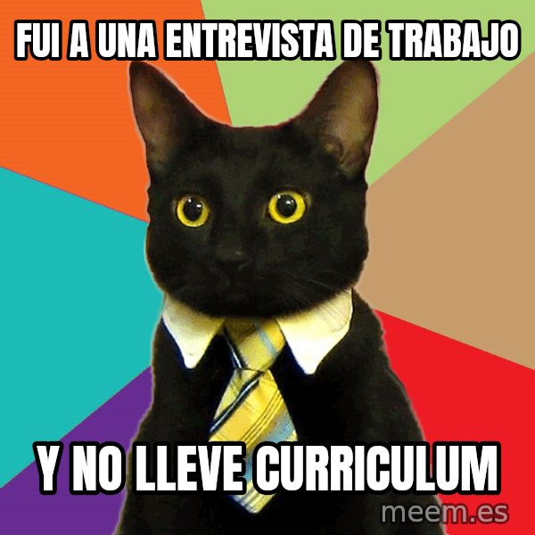 Business Cat meme: fui a una entrevista de trabajo / y no lleve curriculum