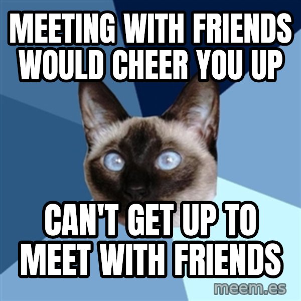 Chronic Illness Cat meme: meeting with friends would cheer you up / can't get up to meet with friends