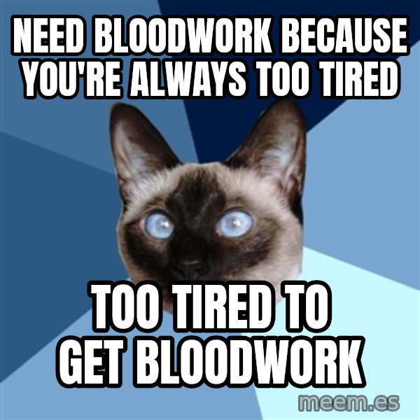 Chronic Illness Cat meme: need bloodwork because you're always too tired / too tired to get bloodwork