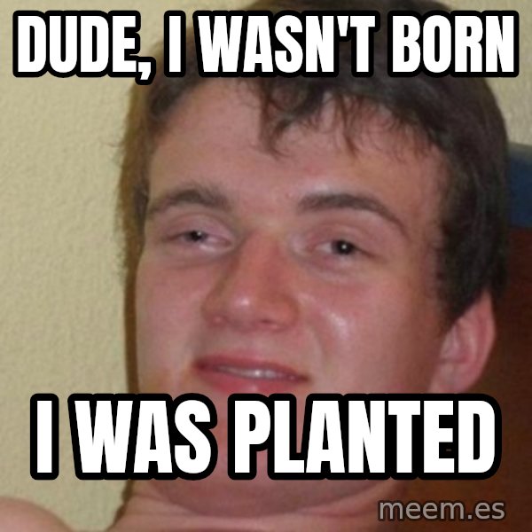 Really Stoned Guy meme: Dude, i wasn't born / i was planted