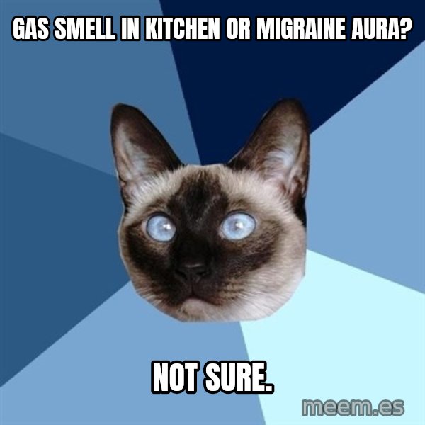 Chronic Illness Cat meme: gas smell in kitchen or  migraine aura? / not sure.