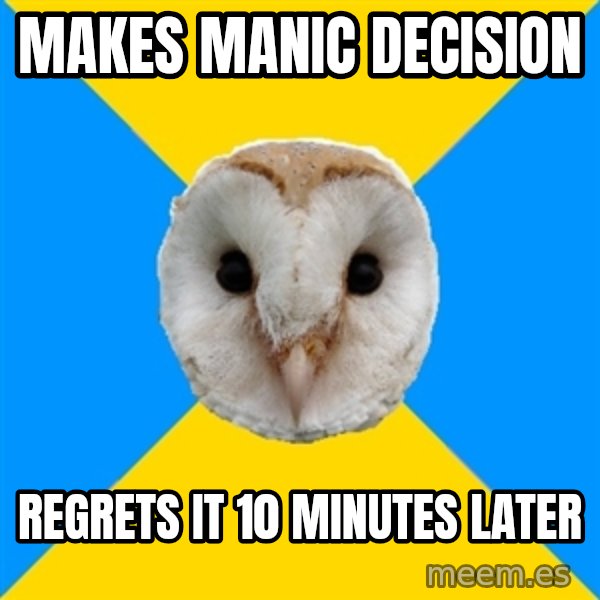 Bipolar Owl meme: MaKES MANIC DECISION / regrets it 10 minutes later