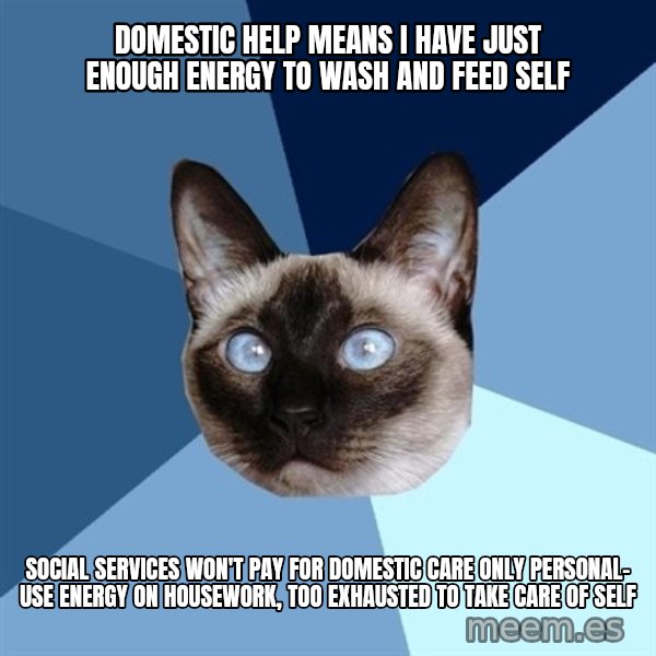Chronic Illness Cat meme: domestic help means I have just enough energy to wash and feed self / SOCIAL SERVICES WON'T PAY FOR DOMESTIC CARE ONLY PERSONAL- USE ENERGY ON HOUSEWORK, TOO EXHAUSTED TO TAKE CARE OF SELF