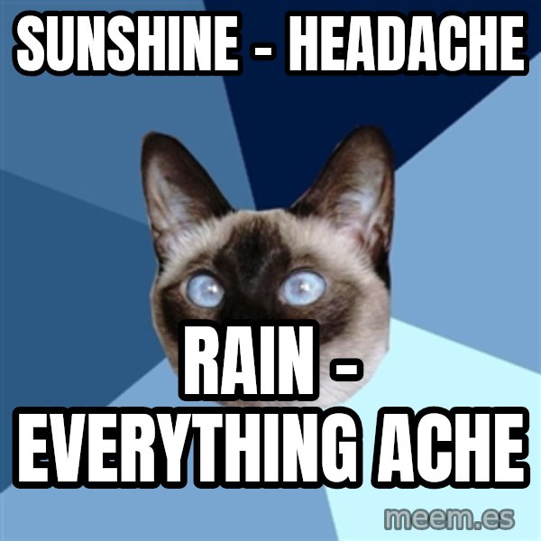 Chronic Illness Cat meme: sunshine - headache / rain - everything ache