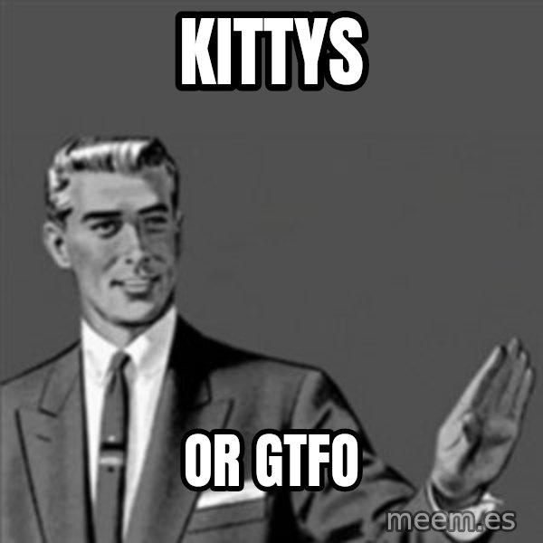 Correction Guy meme: kittys / or gtfo