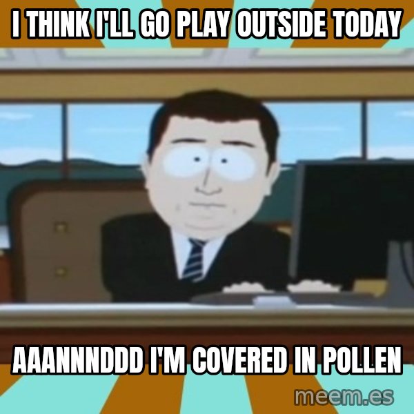 And it's gone meme: I think I'll go play outside today / aaannnddd i'm covered in pollen