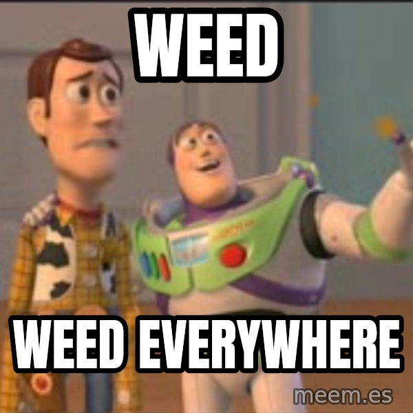 X, X Everywhere  meme: weed / weed everywhere