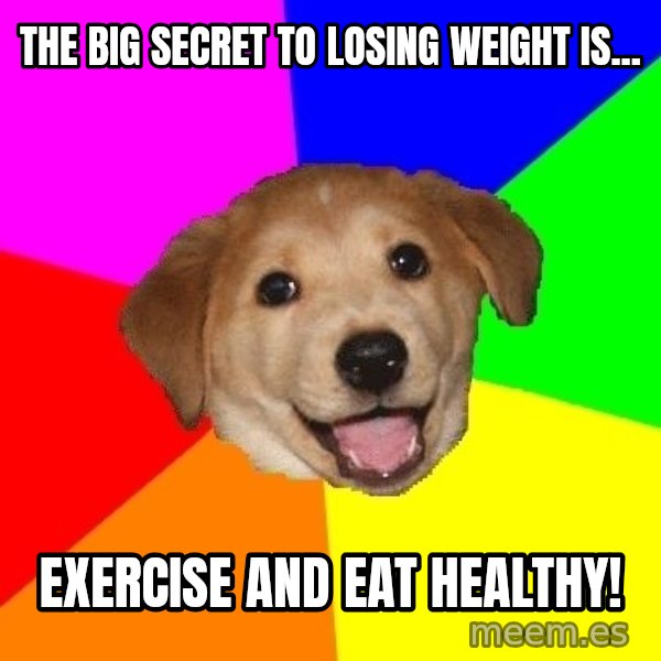 Advice Dog meme: the big secret to losing weight is... / exercise and eat healthy!