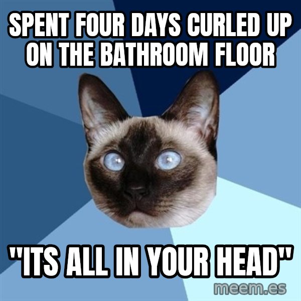 Chronic Illness Cat meme: Spent four days curled up on the bathroom floor / "ITs all in your head"