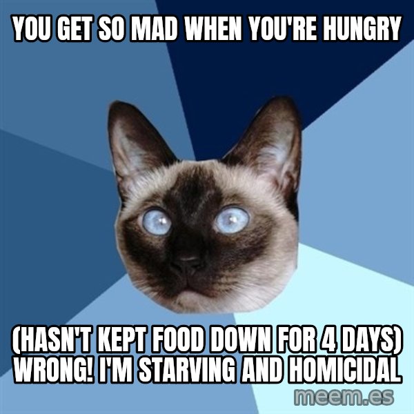 Chronic Illness Cat meme: you get so mad when you're hungry / (hasn't kept food down for 4 days) wrong! I'm starving and homicidal