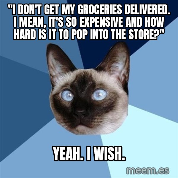 Chronic Illness Cat meme: "I don't get my groceries delivered. I mean, it's so expensive and how hard is it to pop into the store?" / Yeah. I wish.
