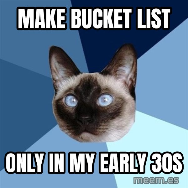 Chronic Illness Cat meme: Make Bucket List / Only in my early 30s