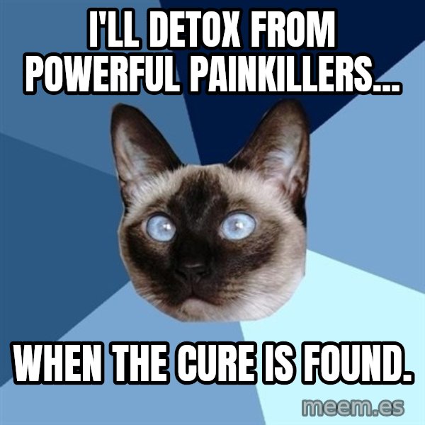 Chronic Illness Cat meme: I'll detox from powerful painkillers... / When the cure is found.