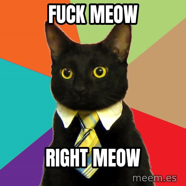 Business Cat meme: Fuck Meow / right meow