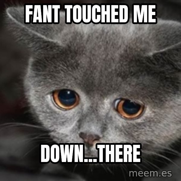 Sadcat meme: Fant touched me / down...there