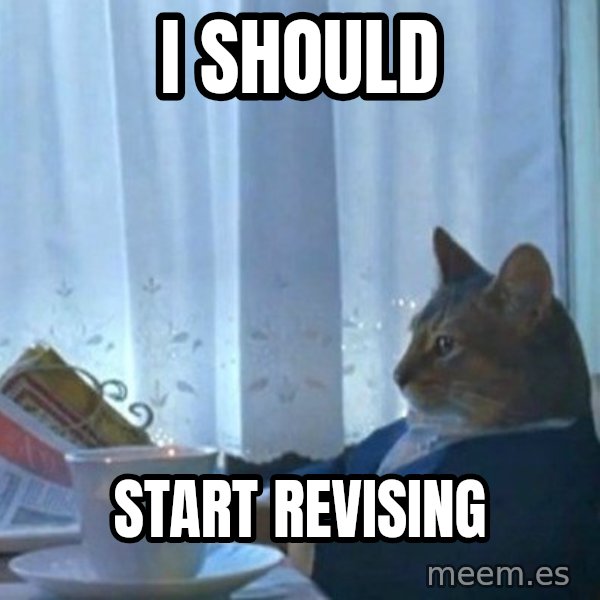 newspaper cat realization meme: I SHOULD / START REVISING