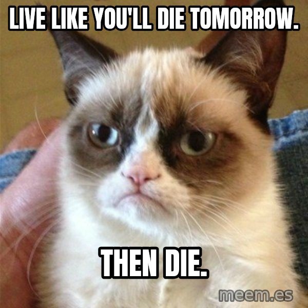 Grumpy Cat  meme: LIVE LIKE YOU'LL DIE TOMORROW. / THEN DIE.
