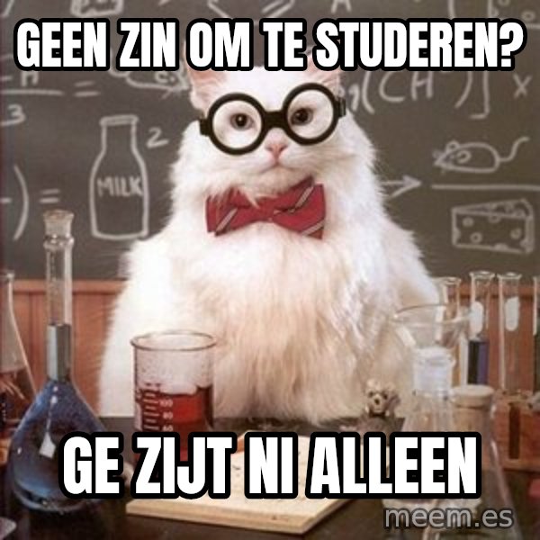 Chemistry Cat meme: geen zin om te studeren? / ge zijt ni alleen