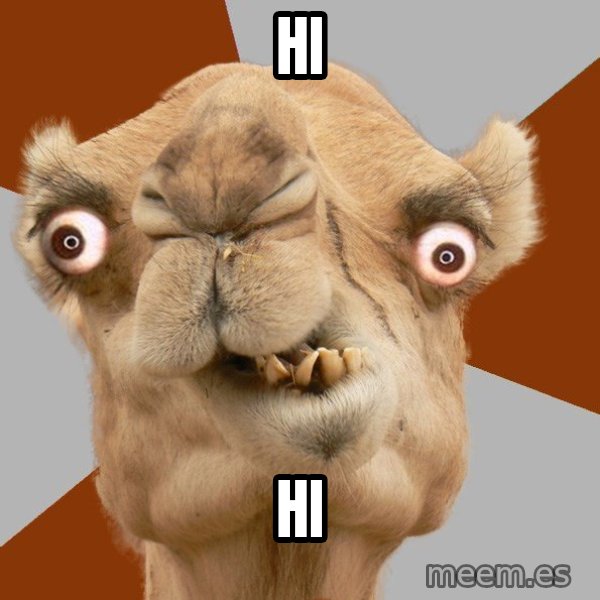Crazy Camel lol meme: hi / hi
