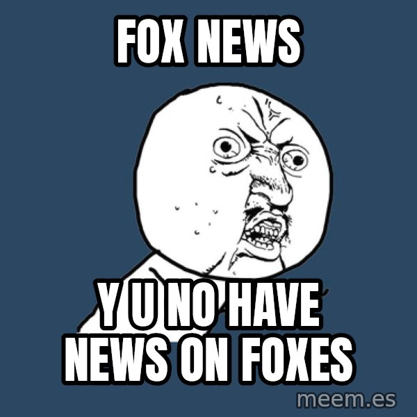 Y U No meme: Fox News / Y u no have news on foxes