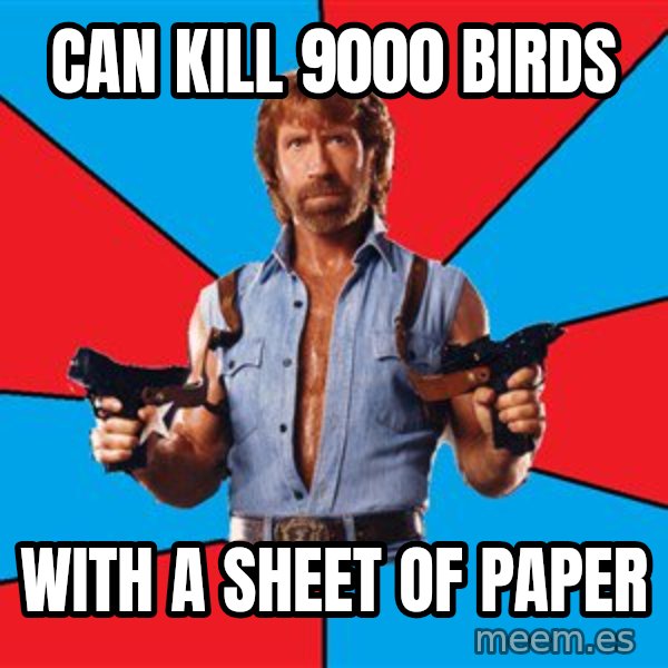 Chuck Norris  meme: can kill 9000 birds / with a sheet of paper