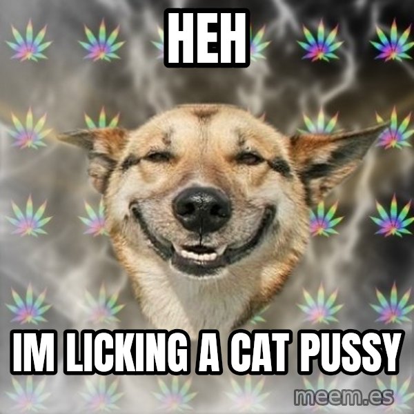 Stoner Dog meme: Heh / IM Licking a cat pussy