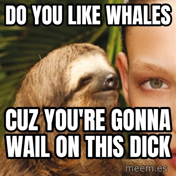 The Rape Sloth meme: dO YOU LIKE WHALES / CUZ YOU'RE GONNA WAIL ON THIS DICK
