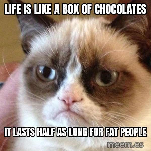 Angry Cat Meme meme: life is like a box of chocolates / it lasts half as long for fat people