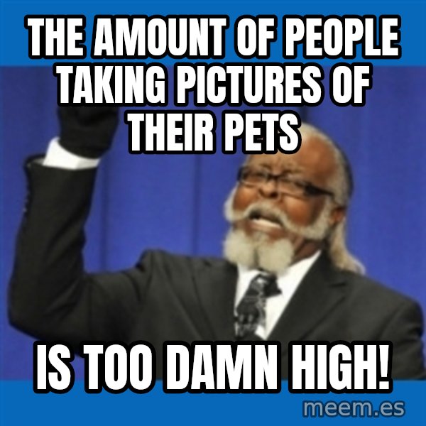 Rent Is Too Damn High meme: the amount of people taking pictures of their pets / is too damn high!