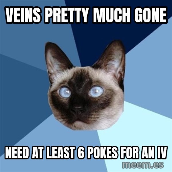 Chronic Illness Cat meme: Veins Pretty much gone / Need at least 6 pokes for an IV