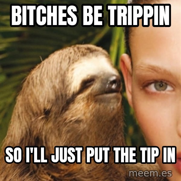 The Rape Sloth meme: bitches be trippin / so i'll just put the tip in