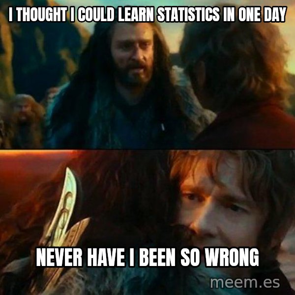 Never Have I Been So Wrong meme: i thought i could learn statistics in one day / never have i been so wrong