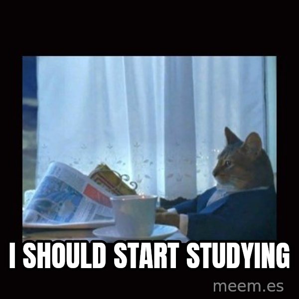 i should buy a boat cat meme: I should start studying
