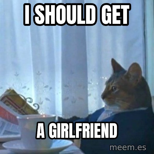 newspaper cat realization meme: I should get / a girlfriend
