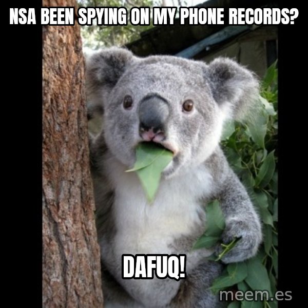 Koala can't believe it meme: NSA been spying on my phone records? / dafuq!