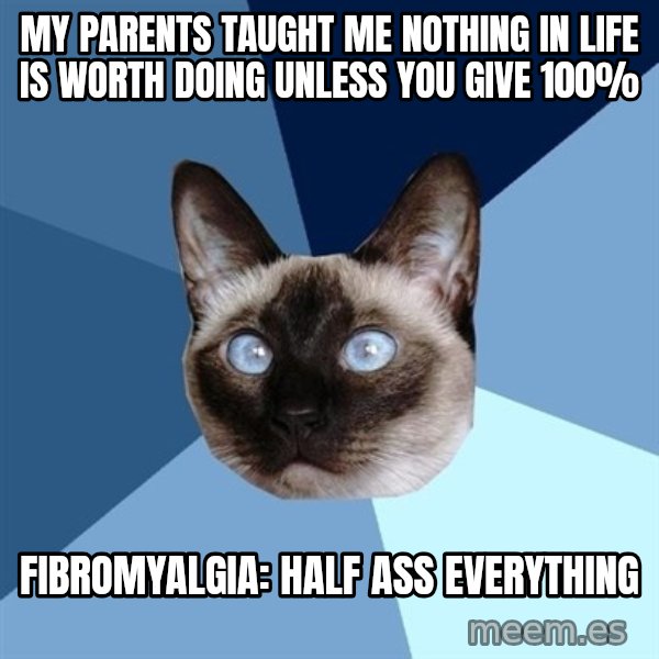 Chronic Illness Cat meme: my parents taught me nothing in life is worth doing unless you give 100% / fibromyalgia: half ass everything