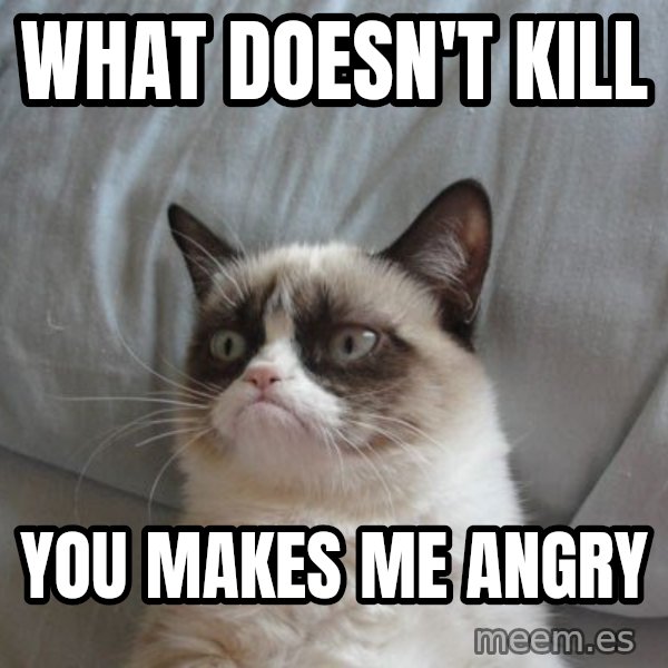 Grumpy cat good meme: WHAT DOESN'T KILL / YOU MAKES ME ANGRY