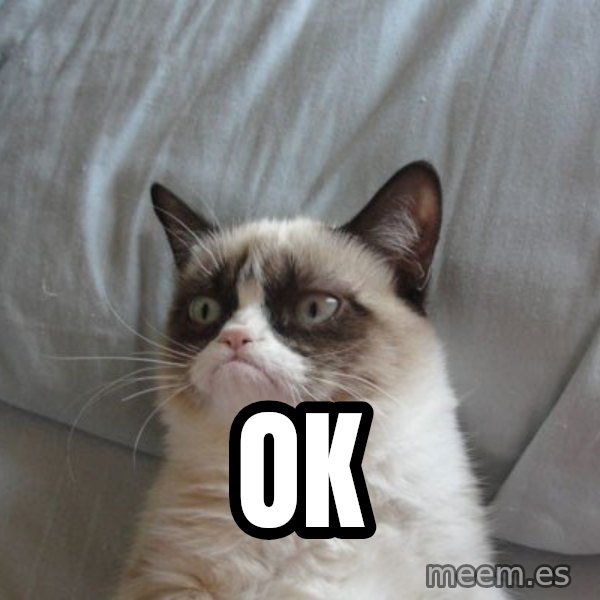 Grumpy cat good meme: ok