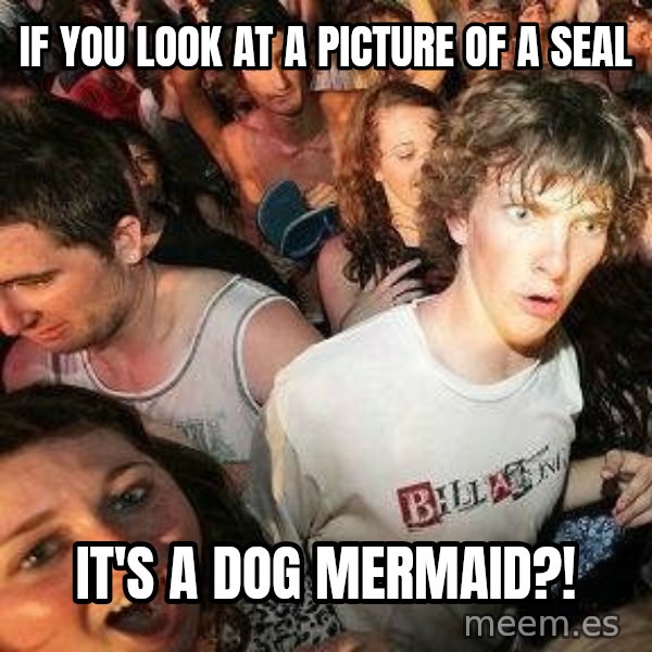 -Sudden Clarity Clarence meme: If you look at a picture of a seal / It's a dog mermaid?!