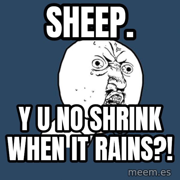 Y U No meme: sheep. / y u no shrink when it rains?!
