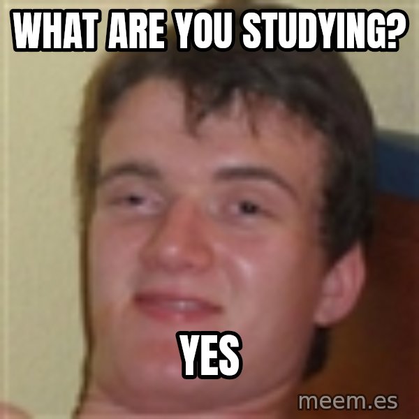 10guy meme: what are you studying? / yes
