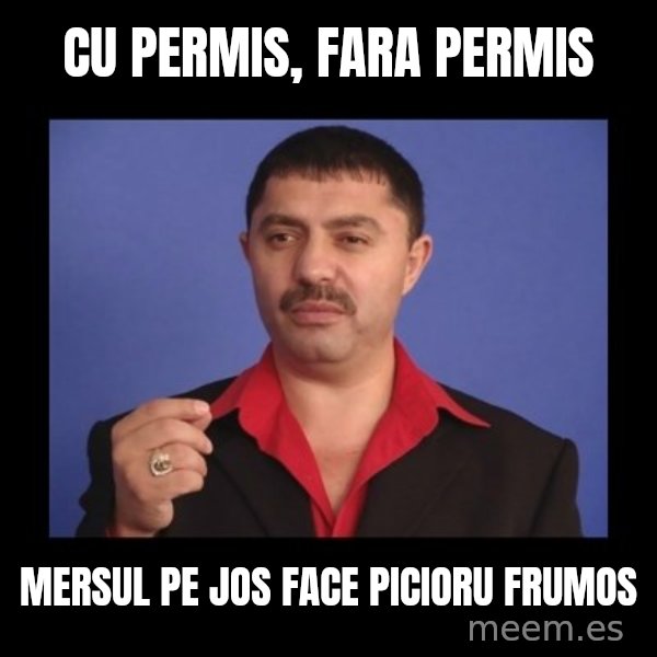 Manelistul Nicolae Guta meme: cu permis, fara permis / mersul pe jos face picioru frumos